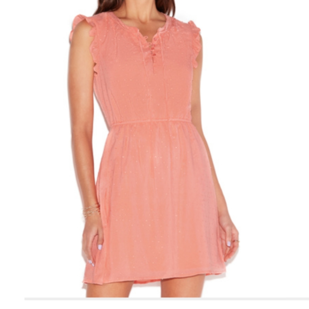 Swiss Dot Ruffle Sleeve Dress